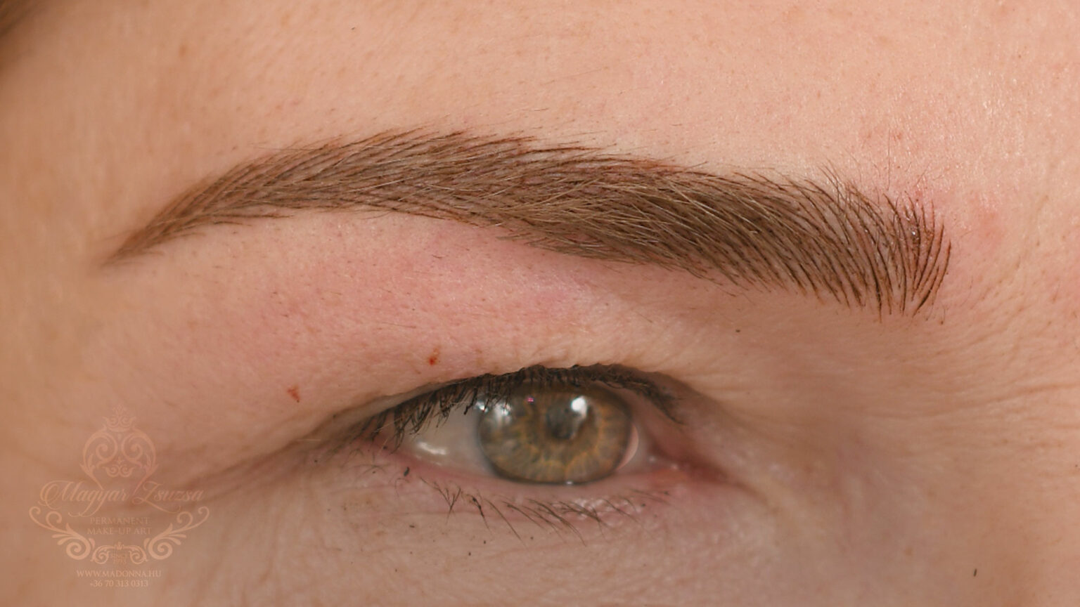 002_PHIBROWS-1536x864-1.jpg